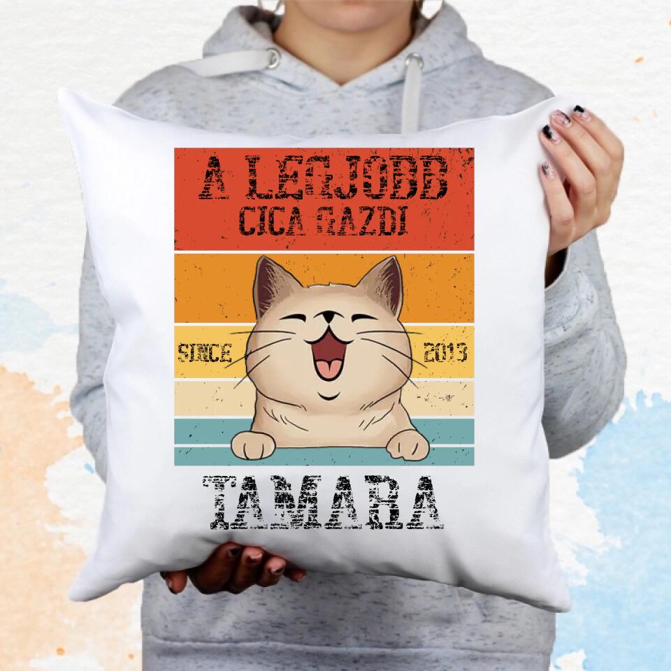 A legjobb cicagazdi párna