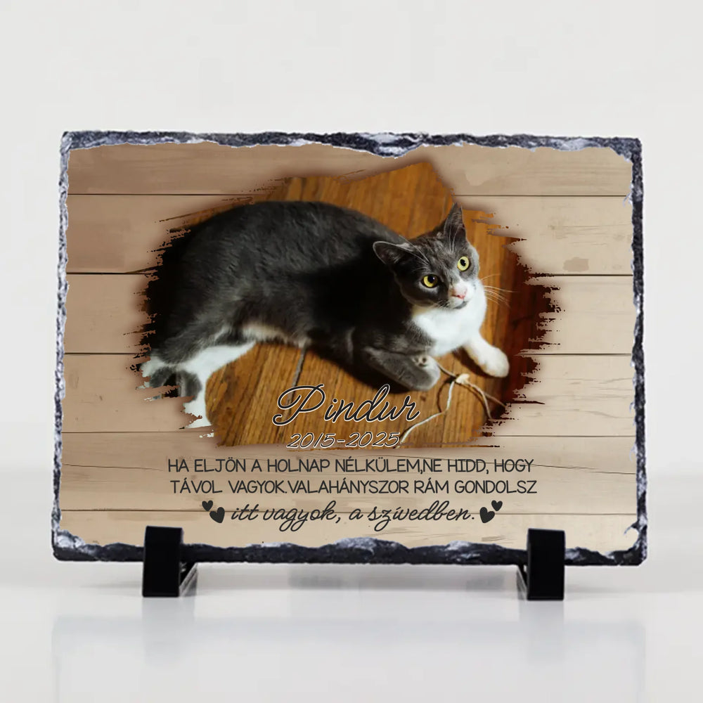 Megemlékezős gránitlap szeretett kis kedvencről
