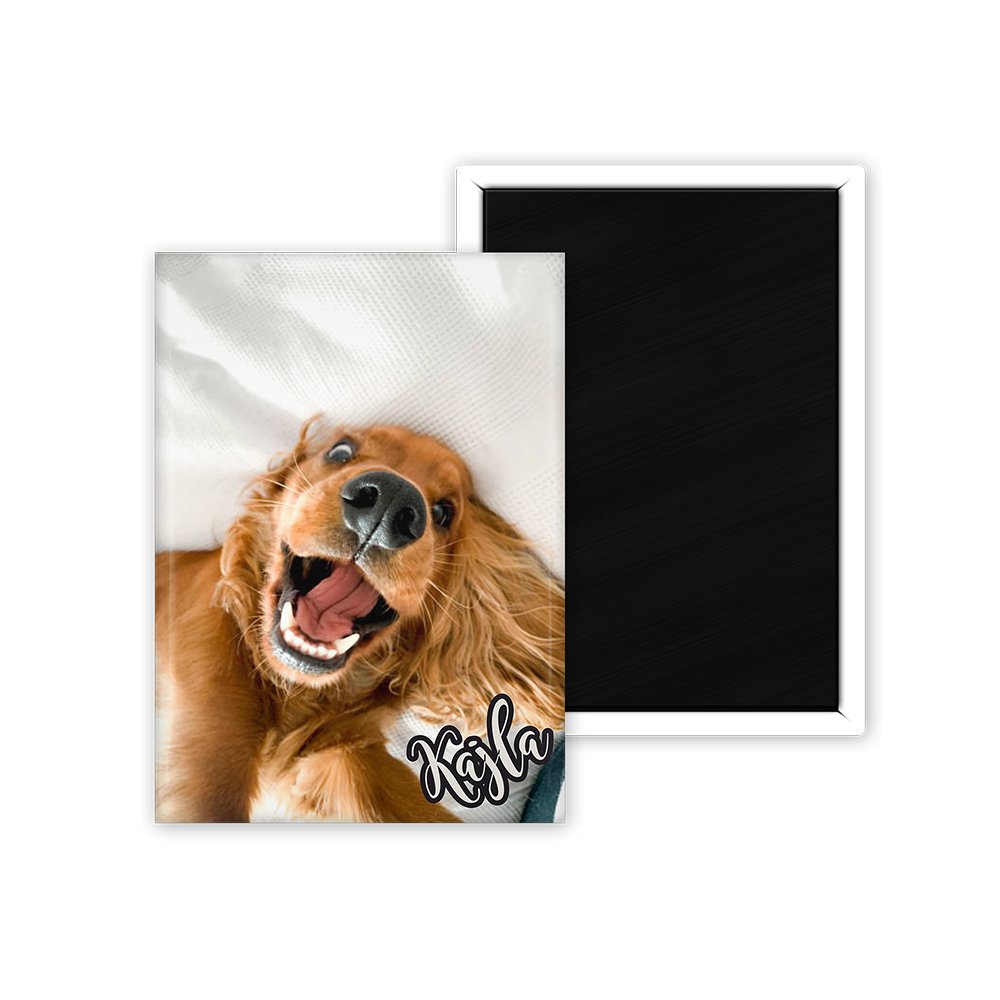 Házi kedvences hűtőmágnes - Bogreguru