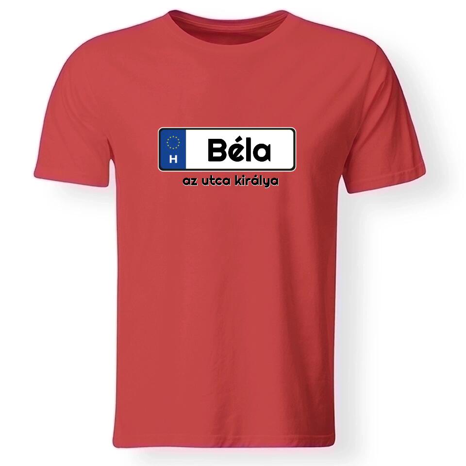 Rendszámtábla mintás póló férfiaknak