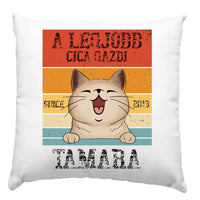 A legjobb cicagazdi párna