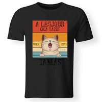 A legjobb cicagazdi egyedi férfi póló