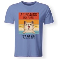 A legjobb cicagazdi egyedi férfi póló