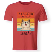 A legjobb cicagazdi egyedi férfi póló