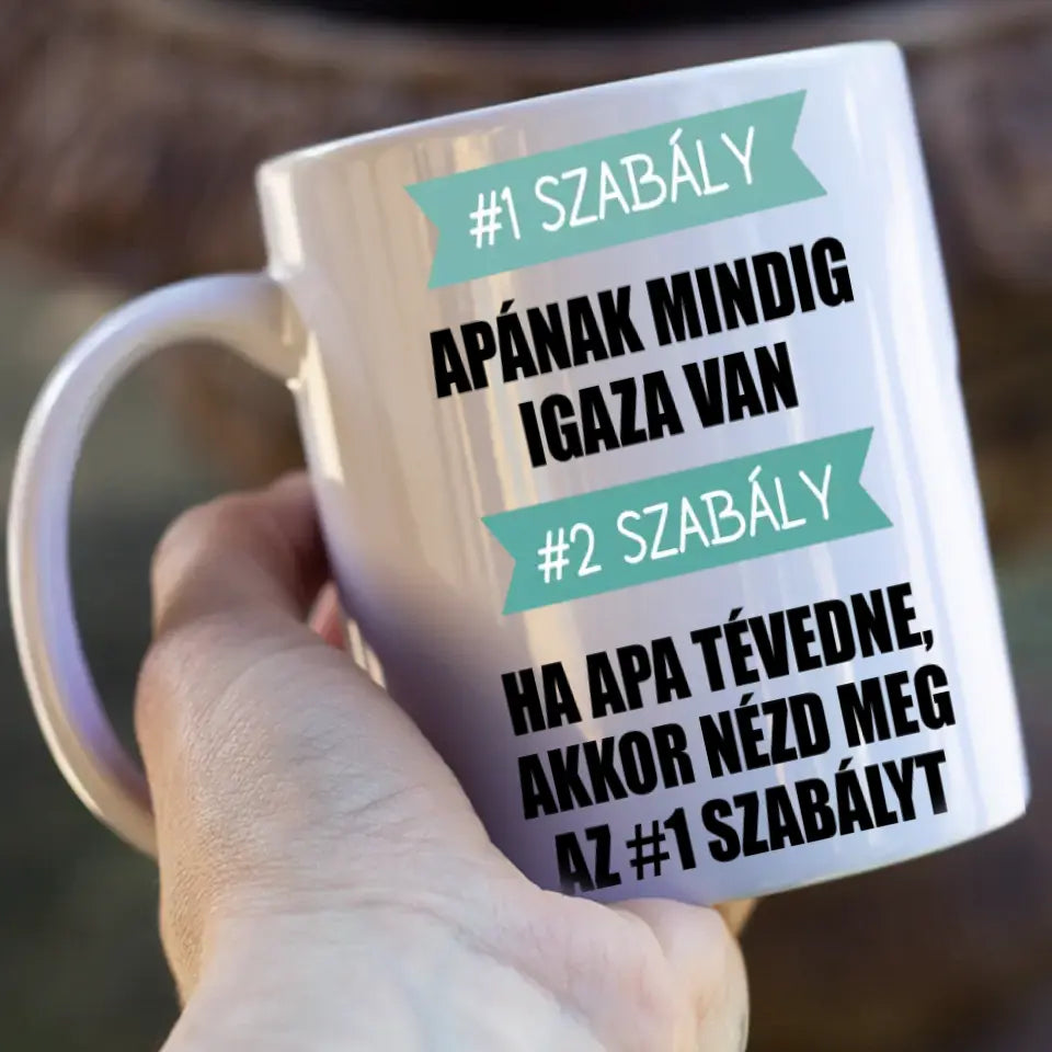 Apa szabályai vicces apák napi ajándék bögre