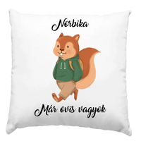 Állatos párna ovisoknak és kisiskolásoknak