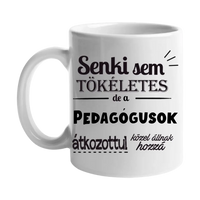 Senki sem tökéletes bögre