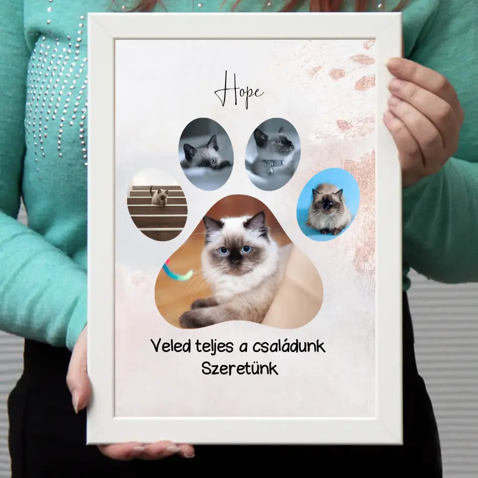 Cica tappancsos falikép