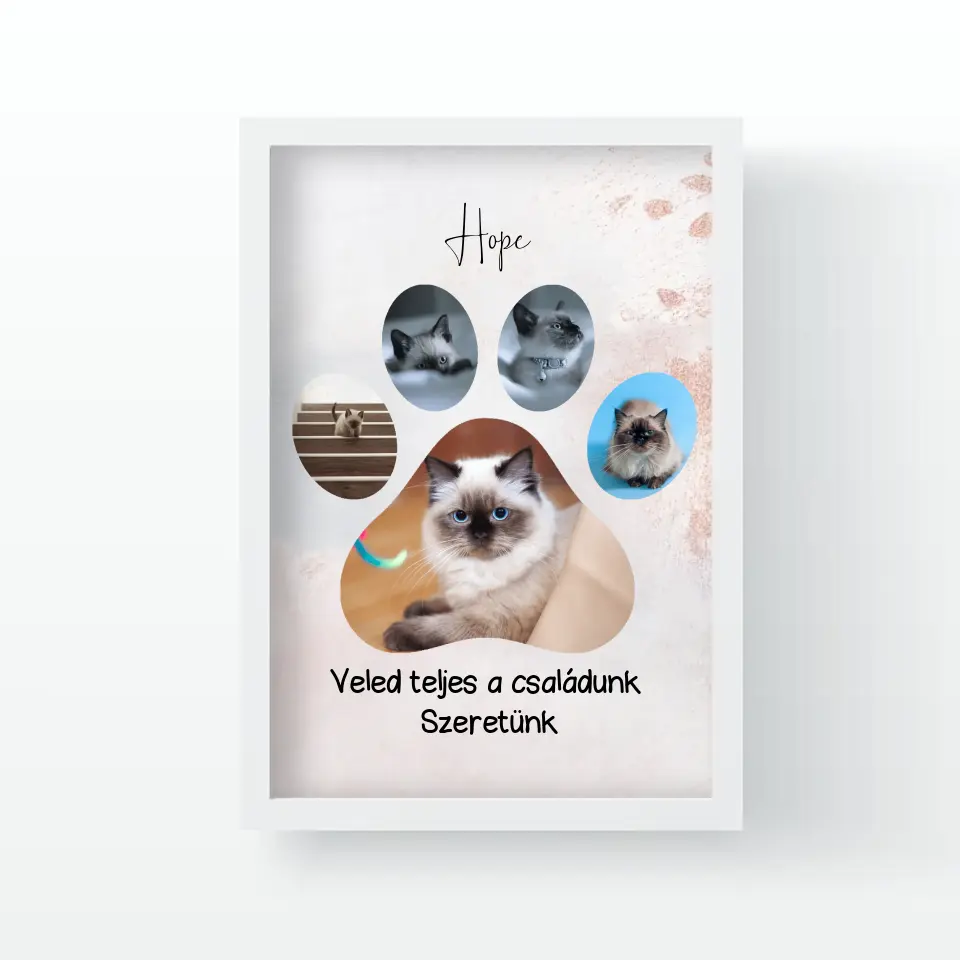 Cica tappancsos falikép