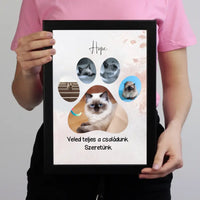 Cica tappancsos falikép