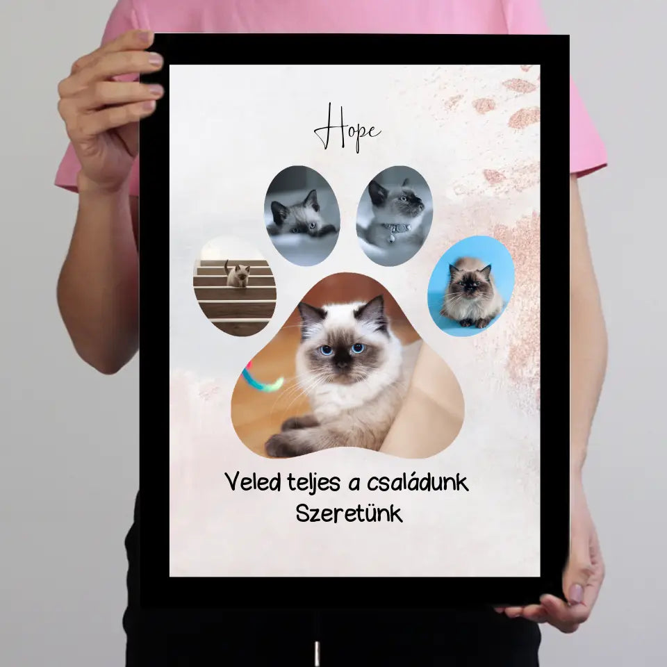 Cica tappancsos falikép