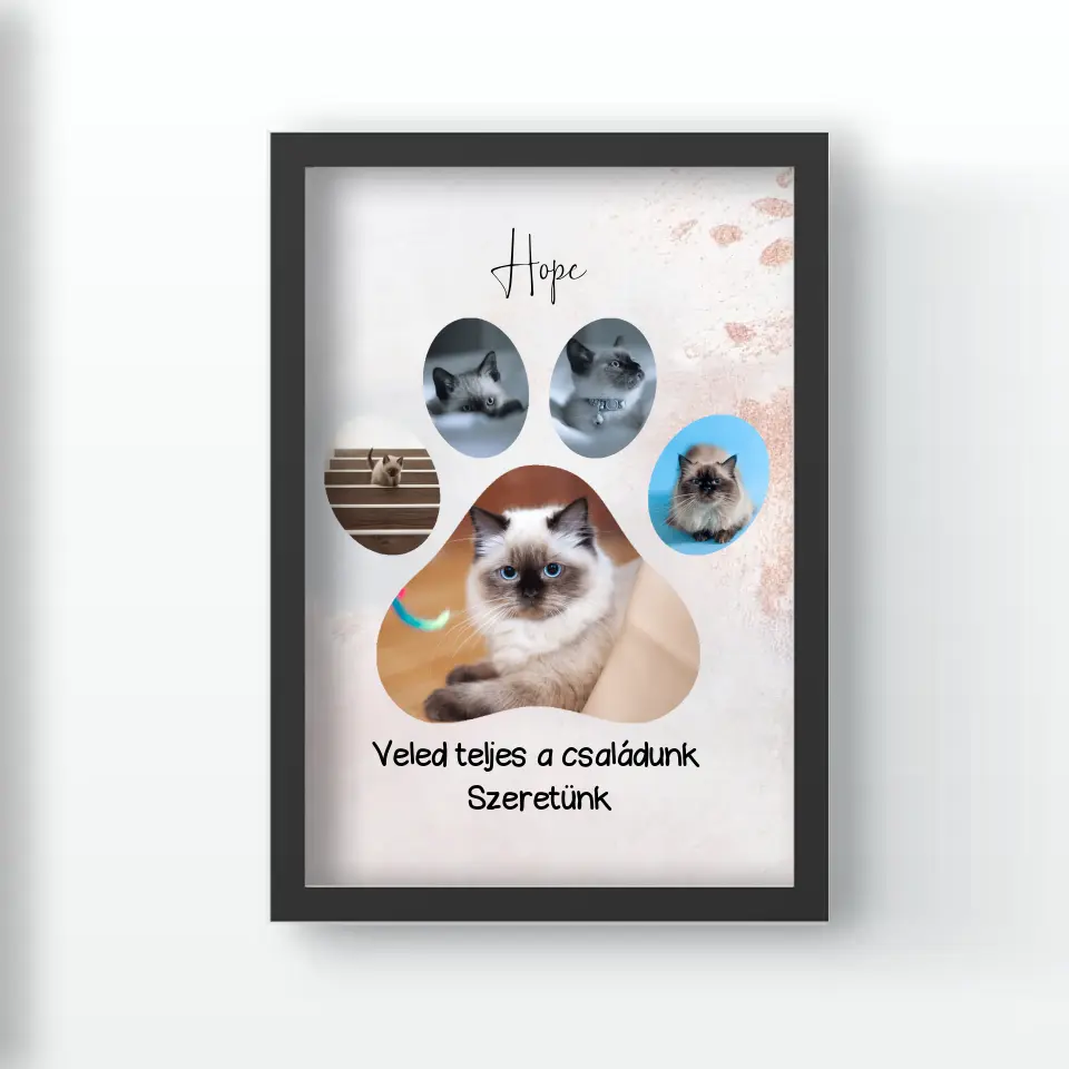 Cica tappancsos falikép