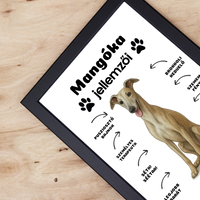 Az én kutyám jellemzői egyedi feliratokkal falikép