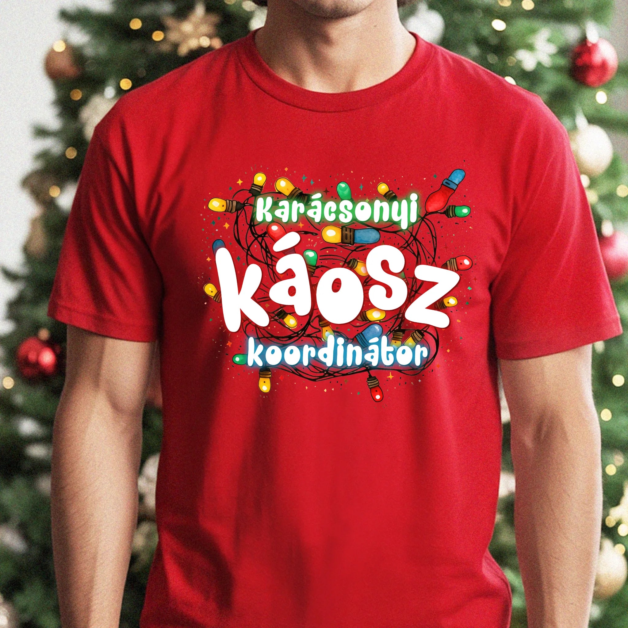 Karácsonyi káosz koordinátor vicces férfi póló