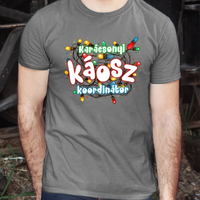 Karácsonyi káosz koordinátor vicces férfi póló