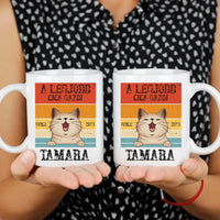 A legjobb cicagazdi bögre