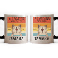 A legjobb cicagazdi bögre