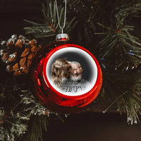 Legeslegjobb nagypapa fotós piros gömbdísz