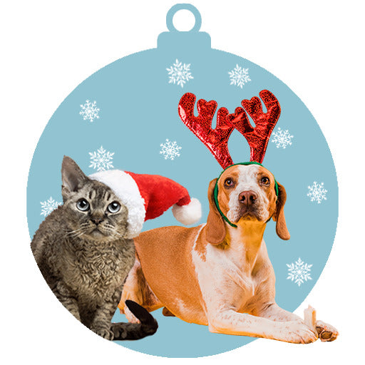 egyedi karácsonyi ajándékok gazdiknak