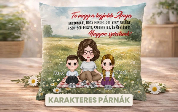 Egyedi karakteres párnák - egyedi ajándékok